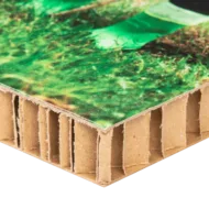 Afdruk op Karton - Afbeelding 3