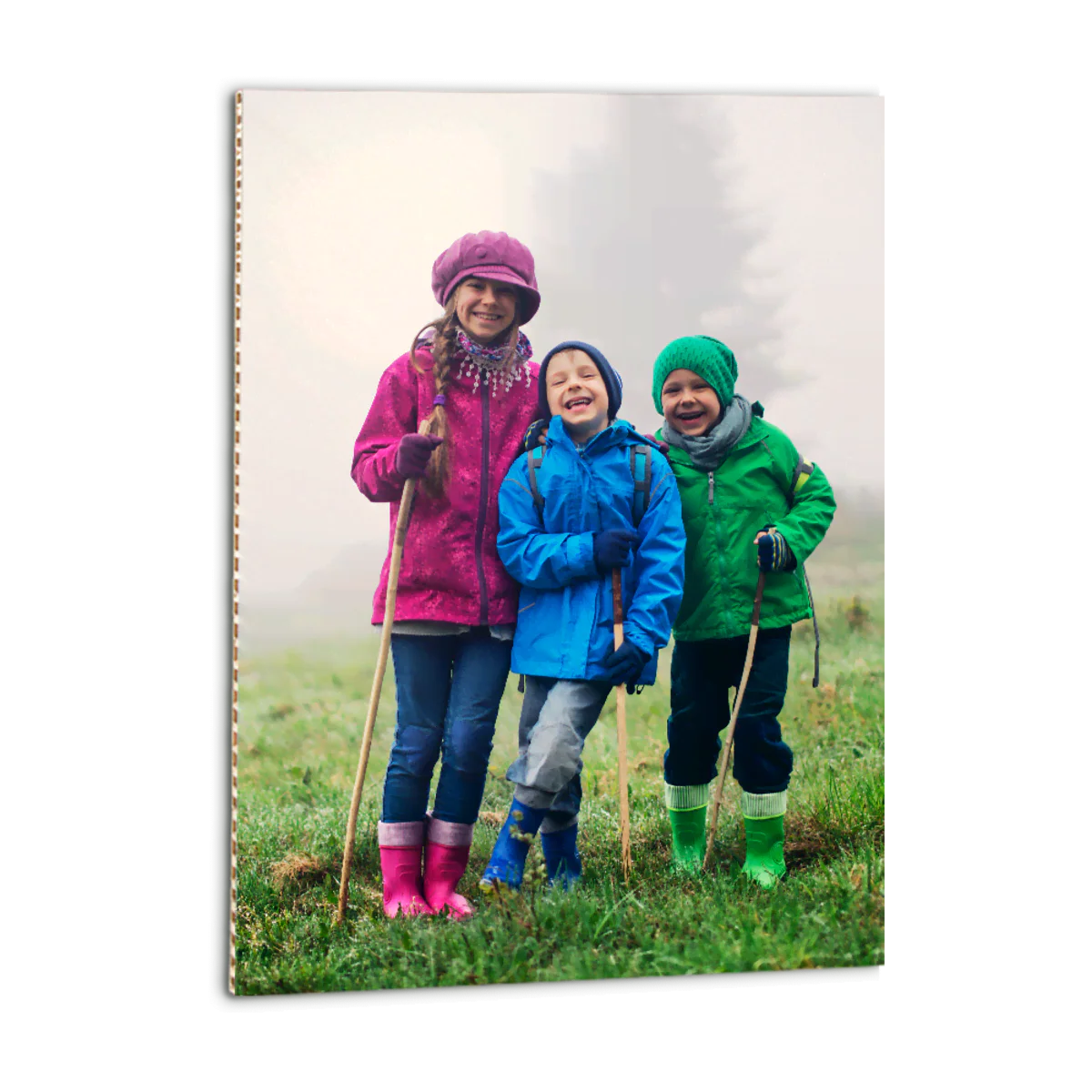 kartonstaand-1-1200 Afdruk op Karton - Afbeelding 1